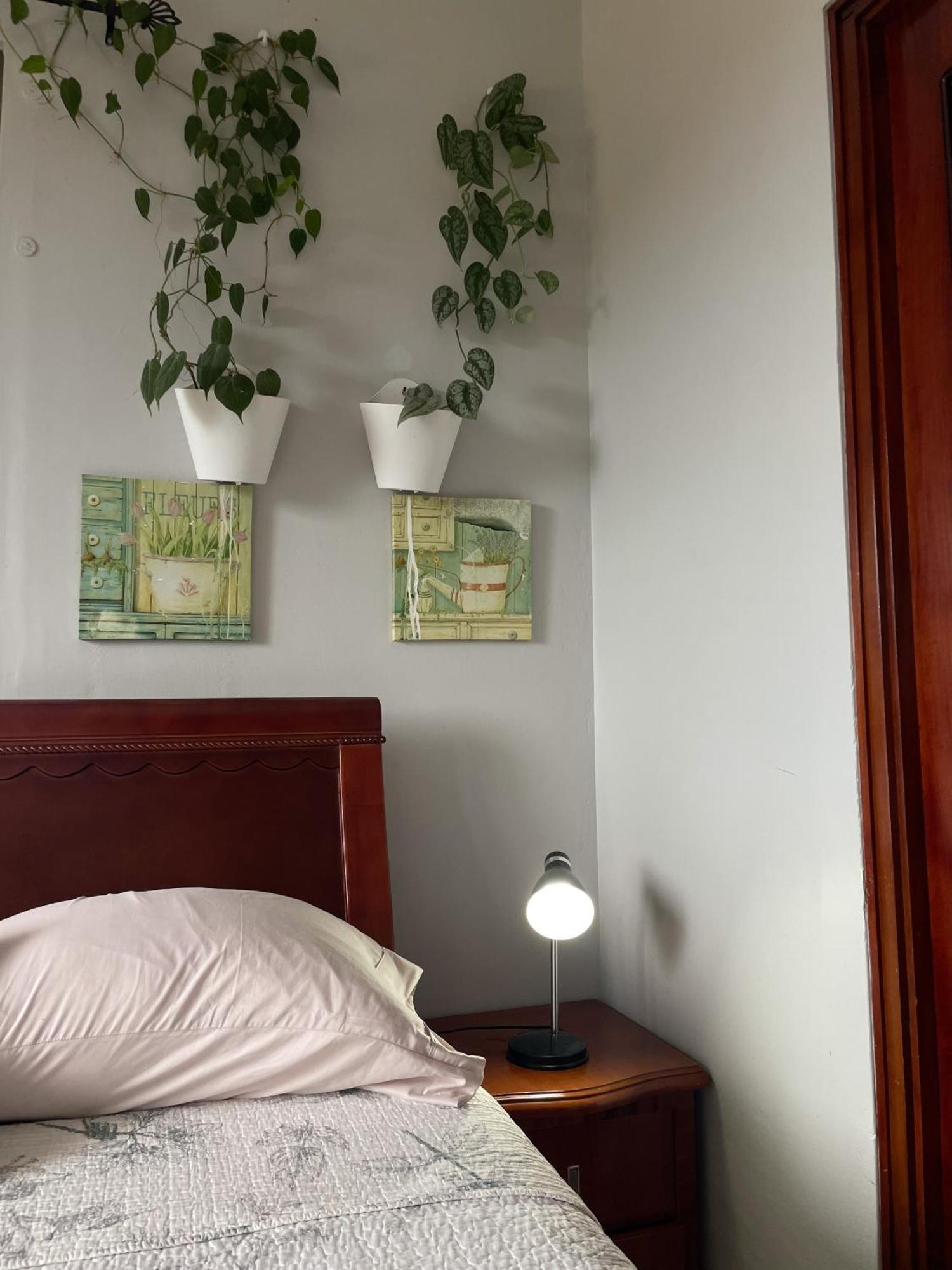 Hostel Kimmell / Hostal Familiar La Casita De Los Kimmell Las Tablas Szoba fotó